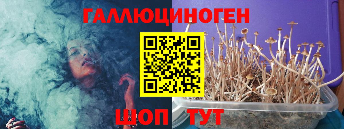 Псилоцибиновые грибы MAGIC MUSHROOMS Серпухов